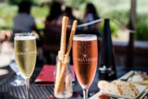 里昂球员轰入制胜球，帮助球队实现大逆转