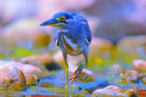 利物浦迎来胜利！红军再度披荆斩棘