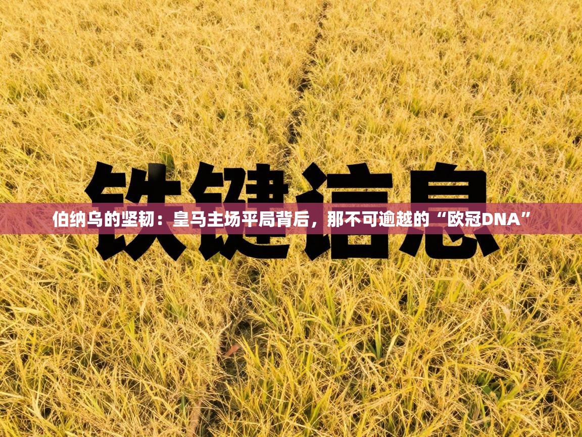 伯纳乌的坚韧：皇马主场平局背后，那不可逾越的“欧冠DNA”  第2张