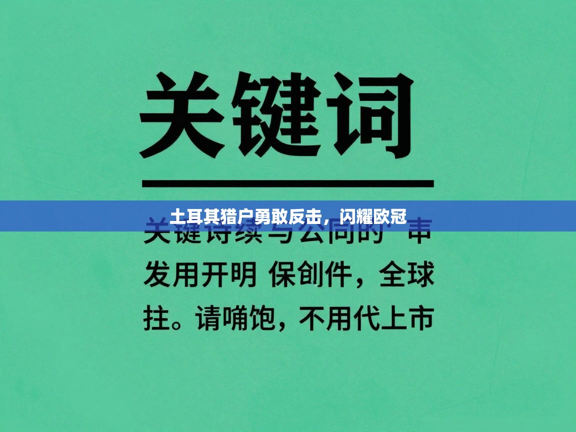 土耳其猎户勇敢反击,闪耀欧冠 第2张